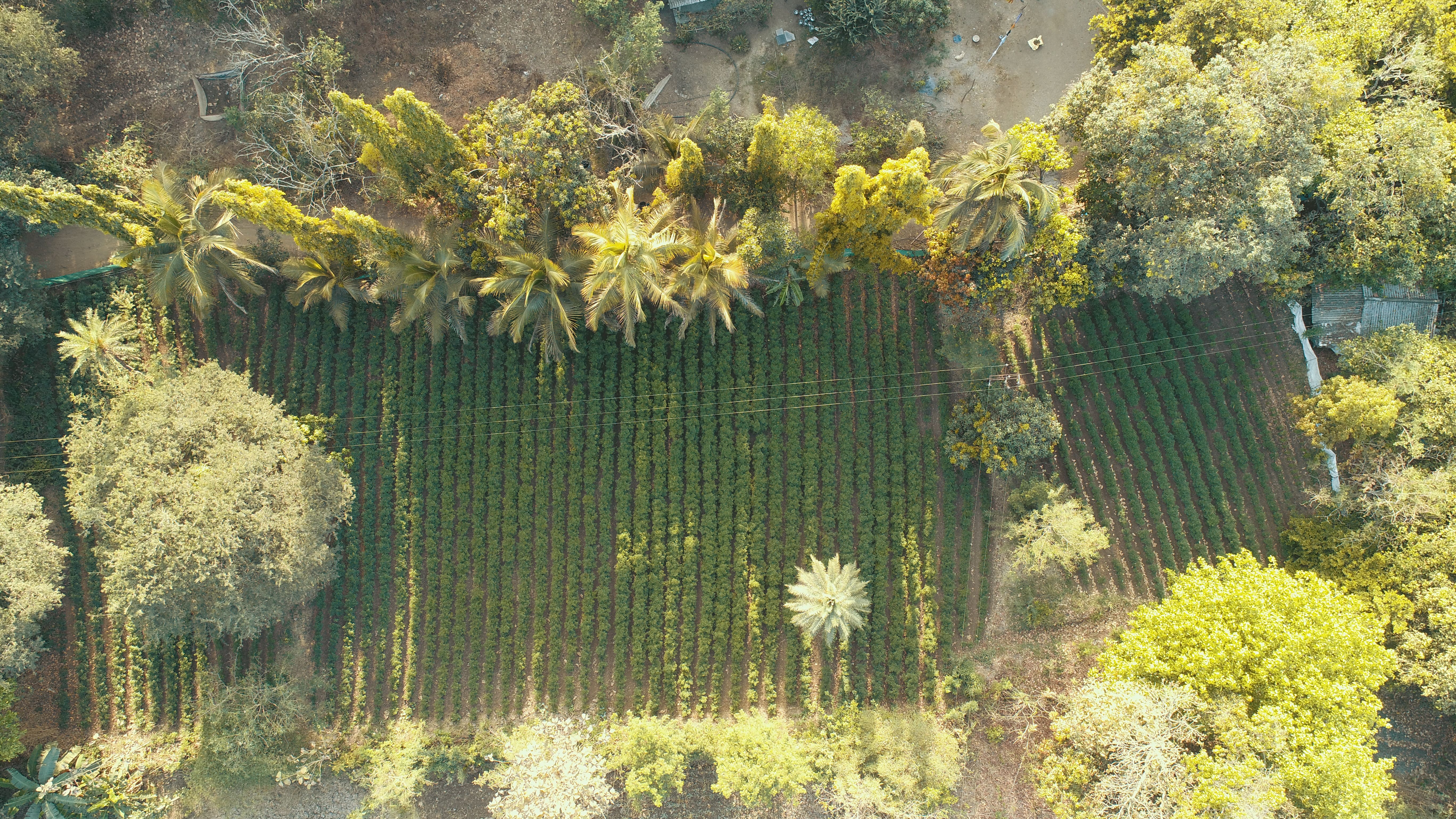 Eco Retreat in Dahanu